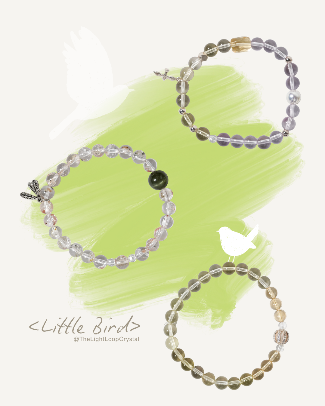little bird collection cover